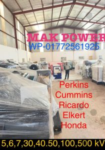 PERKINS CUMMINS RICARDO